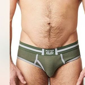 Nasty pig Brad Brief